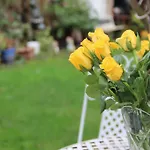Bright London Garden Studio!