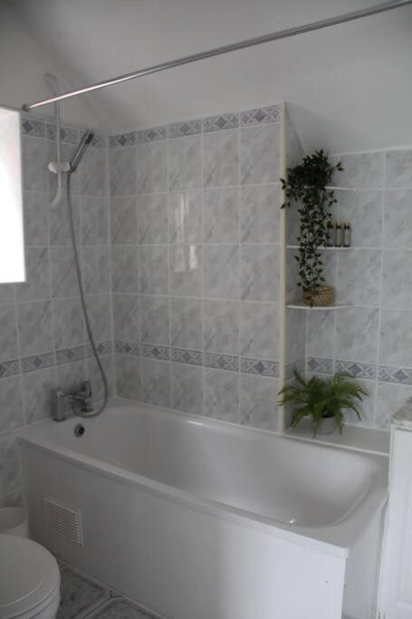 Bright Garden Studio! Appartamento