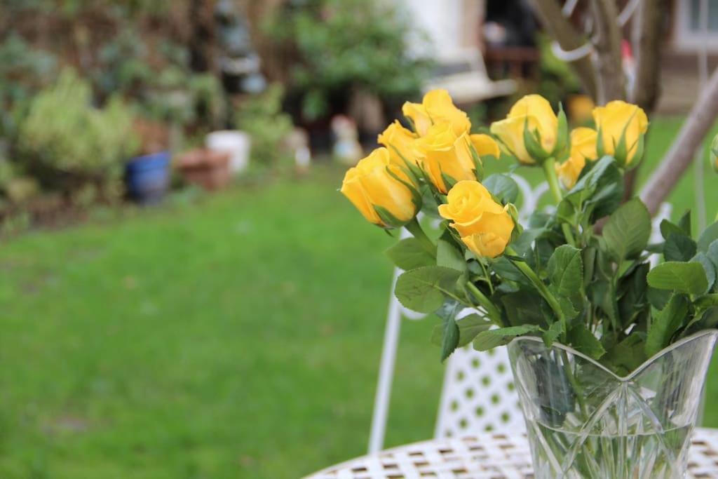 Bright Garden Studio! Appartamento Londra